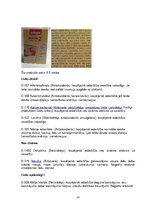 Referāts 'Pārtikas piedevas', 23.