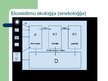 Prezentācija 'Ekoloģija', 11.