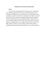 Referāts 'Dienas gaitas lukturu lietošana un satiksmes drošība', 1.