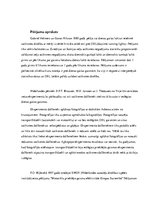 Referāts 'Dienas gaitas lukturu lietošana un satiksmes drošība', 2.