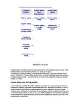 Konspekts 'LR Policijas struktūra', 5.