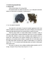 Referāts 'Alvas dioksīda SnO2 sintēze un spektromikroskopijas pētījumi', 15.