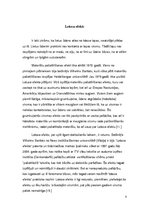 Referāts 'Nanopārklājumi', 8.