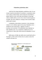 Referāts 'Nanopārklājumi', 10.