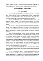Referāts 'Būvniecības nozaru raksturojums', 13.