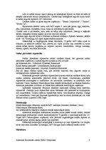 Referāts 'Amerikas Savienotās Valstis', 8.