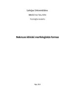 Referāts 'Nekroze', 1.