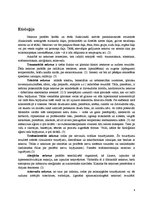 Referāts 'Nekroze', 4.