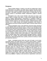 Referāts 'Nekroze', 6.