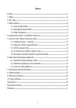 Referāts 'Meža piesārņojums', 7.