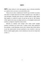 Referāts 'Meža piesārņojums', 10.