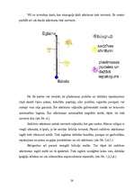 Referāts 'Meža piesārņojums', 30.