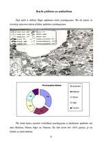 Referāts 'Meža piesārņojums', 31.