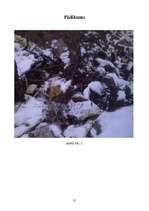 Referāts 'Meža piesārņojums', 35.