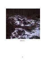 Referāts 'Meža piesārņojums', 36.