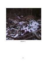 Referāts 'Meža piesārņojums', 37.