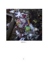 Referāts 'Meža piesārņojums', 39.