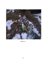 Referāts 'Meža piesārņojums', 40.