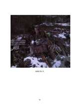 Referāts 'Meža piesārņojums', 42.