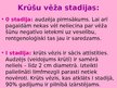 Prezentācija 'Krūts vēzis', 5.