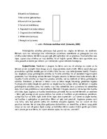 Diplomdarbs 'Kustību rotaļas domāšanas spēju veicināšanai piecus - sešus gadus veciem bērniem', 11.