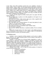 Diplomdarbs 'Kustību rotaļas domāšanas spēju veicināšanai piecus - sešus gadus veciem bērniem', 19.