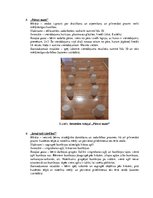 Diplomdarbs 'Kustību rotaļas domāšanas spēju veicināšanai piecus - sešus gadus veciem bērniem', 44.