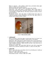 Diplomdarbs 'Kustību rotaļas domāšanas spēju veicināšanai piecus - sešus gadus veciem bērniem', 46.