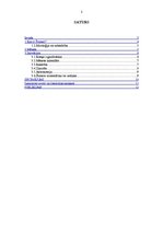 Referāts 'Šumeru inovācijas', 2.