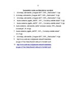 Referāts 'Šumeru inovācijas', 11.