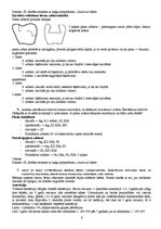 Konspekts 'Bērnu stomatoloģija', 6.