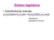 Prezentācija 'Esteri', 5.