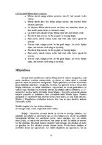 Referāts 'Latviešu sadzīves tradīcijas - vēsture un mūsdienas', 13.