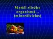 Prezentācija 'Metāli cilvēku organismā (minerālvielas)', 1.