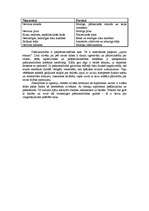 Referāts 'Pašaizsardzība', 3.