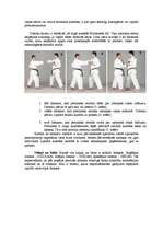 Referāts 'Pašaizsardzība', 5.