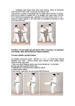 Referāts 'Pašaizsardzība', 10.