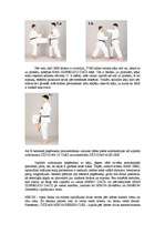 Referāts 'Pašaizsardzība', 12.