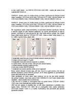 Referāts 'Pašaizsardzība', 13.