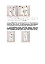 Referāts 'Pašaizsardzība', 14.