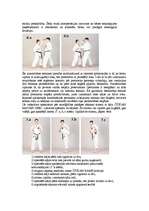 Referāts 'Pašaizsardzība', 16.