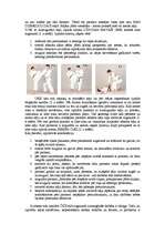 Referāts 'Pašaizsardzība', 18.