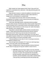 Konspekts 'Miegs', 1.