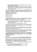 Konspekts 'Vēstures interpretācijas', 12.