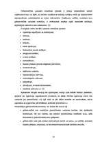 Diplomdarbs 'Saimnieciskās darbības un nodokļu uzskaite mazumtirdzniecības uzņēmumos', 26.