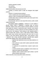 Diplomdarbs 'Saimnieciskās darbības un nodokļu uzskaite mazumtirdzniecības uzņēmumos', 43.