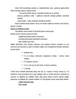 Diplomdarbs 'Saimnieciskās darbības un nodokļu uzskaite mazumtirdzniecības uzņēmumos', 52.