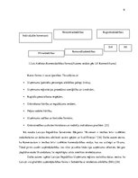 Referāts 'Akciju sabiedrība un pilnsabiedrība', 9.