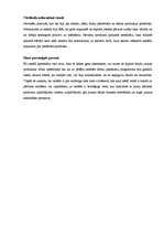 Eseja 'Izstādes "Riga Food 2008" vērtējums', 3.