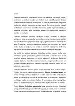 Konspekts 'Dzimumu līdztiesība Eiropas Savienības tiesību sistēmā: teorija, prakse un nākot', 1.